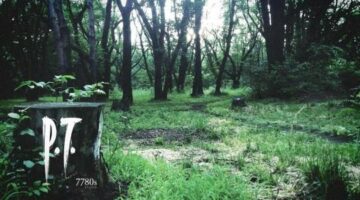 Proxy allows for P.T. to be redownloaded from PSN
