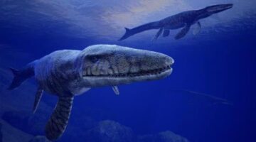 New Level, Dinosaurs, Functionality Revealed In Major Time Machine VR Update