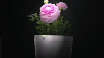 Parrot’s Pot Helps You Keep Your Houseplants Alive