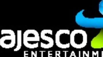 Can Majesco Be Saved?: An Analysis