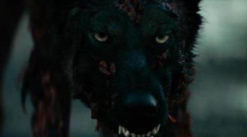Cabin Fever Remake Trailer: Check Out the Eli Roth-Approved Carnage