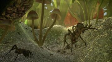 The curious case of strippers, booze, and a failed Ant Simulator Kickstarter campaign