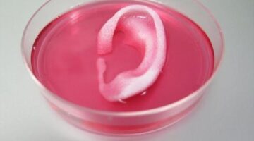 Fifth Element 3D printer’ creates first human ear with blood vessels