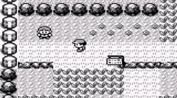 10 Things Only Pokemon Fans Will Understand
