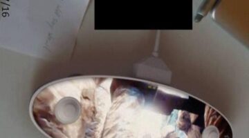 Dual Pixels Exclusive: Nintendo NX Controller Leaked Photo