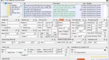 How to rename multiple files in a folder to add suffix/prefix