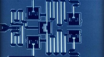 IBM allow free access to quantum processor online