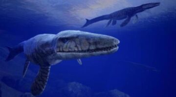 Dive Into the Prehistoric Deep With Time Machine VR