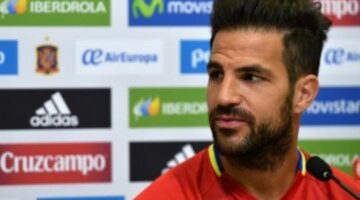 Fabregas: Germany & Italy copied Spain in search for success