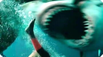 ‘The Shallows’ Review – DavisDanielsite.wordpress.com