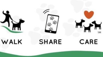 Here Is How To Donate To Animal Charities While You Play Pokemon GO