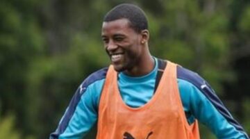 Liverpool agree deal to sign Georginio Wijnaldum from Newcastle for £25m