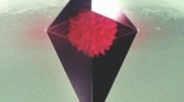 Sean Murray Asks Early Players/Reviewers To Wait for Day 1 Patch