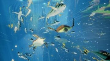 3 Up, 3 Down – The Best (And Worst) Games From August 2016 – COGconnected