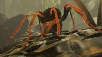 Ant Simulator Cancelled, Kickstarter money went to alcohol and strippers