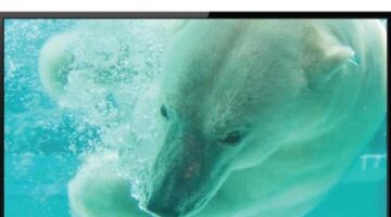Roku TV sets can now pause live TV