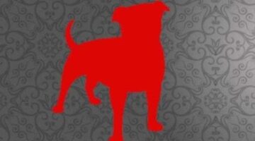 Former EA Exec Who Is Now Zynga’s CEO: “I’ll Never Go Back” to Console and PC