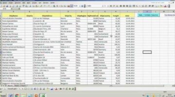 Excel Sheet Columns Management With Userform