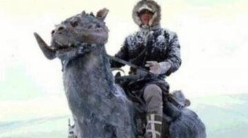 Hoth Han Solo with Tauntaun Pop Deluxe Revealed as the Next Smuggler’s Bounty Exclusive