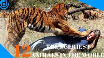 The Scariest Animals in the World