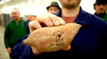 Swedish supermarket using lasers to label fruits to save on unnecessary plastic wrapping