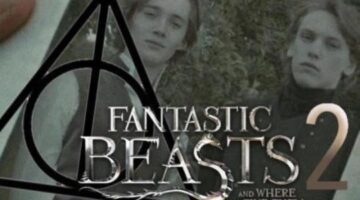 Fantastic Beasts 2: Everything You Need To Know