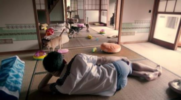 Watch Trailer for Crazy Cat Game Movie ‘Neko Atsume’
