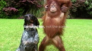 Animal Planet To Air ‘World’s Funniest Animal Commercials’ Special