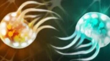 Review: Semispheres – PS4 | Pure PlayStation