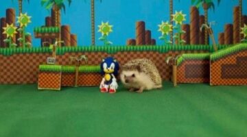 The Top 20 Best Sonic Games of All Time, According to Metacritic