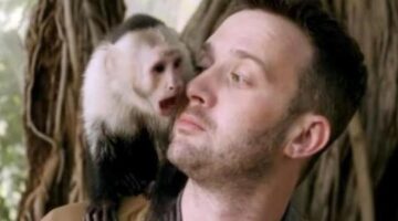 Scorpion Season 3 Episode 19 Review: Monkey See, Monkey Poo – TVF