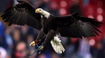 Garth Crooks’ team of the week: Alli, Dier, De Bruyne, Coutinho, Zaha