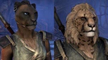 Listed: 14 Furry Races From MMOs