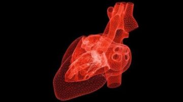 Self-taught artificial intelligence beats doctors at predicting heart attacks