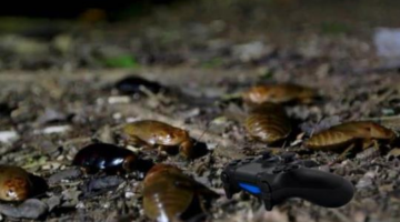 Cockroaches could be hiding in your game console, waiting to pounce — here’s why