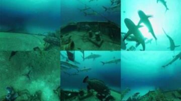 Share Your Favourite VR Experiences with Facebook’s 360 Capture SDK