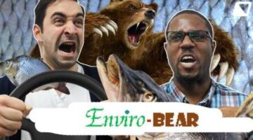 Mobirum Stop N Play – Enviro-Bear 2000