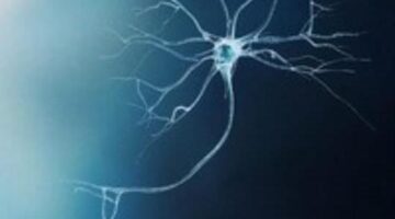 FoldIt  dev has a new game that’s helping map the human brain