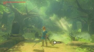 Does the Zelda Season Pass Make You Tingle?