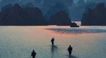 Movie Kong Skull Island Torrent (2017) Download