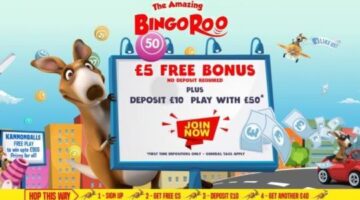 Top New Online Bingo Sites UK