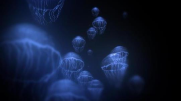 Narcosis Review | GameGrin