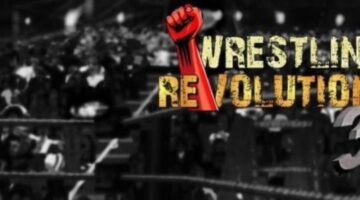Top 10 Wrestling And MMA Games For Android