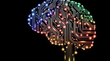 AI and their place in Video Games