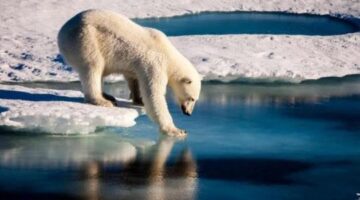 Climate change not as threatening to planet as previously thought, new research suggests