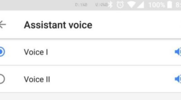 Google Assistant male voice (Voice II) is now live on phones and Google Home