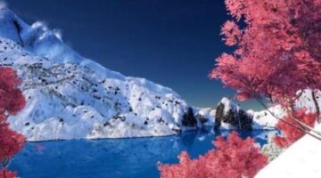 Arnaud Ragot on Bringing the Olympics to Steep