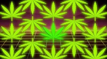 IBM’s plan to regulate pot with blockchains isn’t as crazy as it sounds