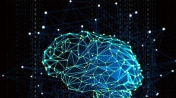 Researchers have created an AI system that teaches itself new languages