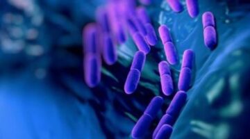 Scientists have expanded the genetic code in bacteria